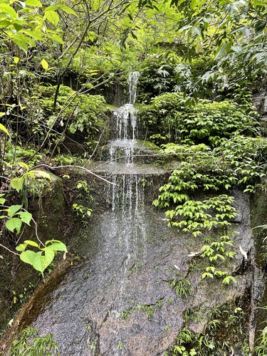 安福武功山野牛瀑大峡谷景区