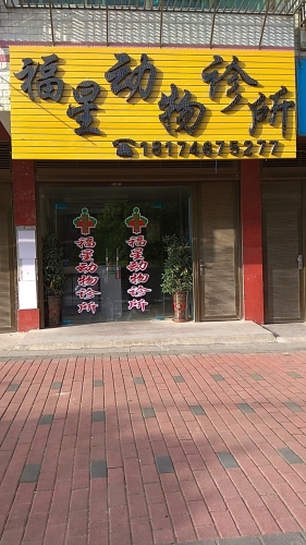 福星动物诊所