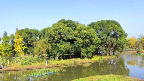 邹浦河湿地公园