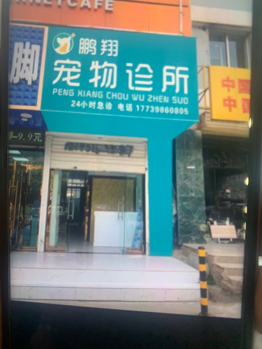 鹏翔宠物诊所