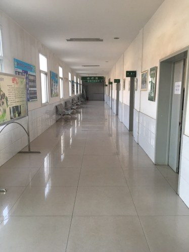 康桥动物医院