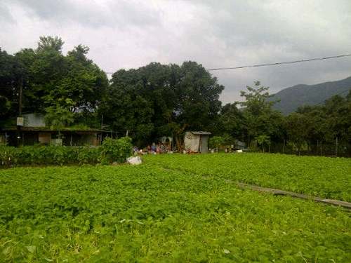 Mapopo Community Farm