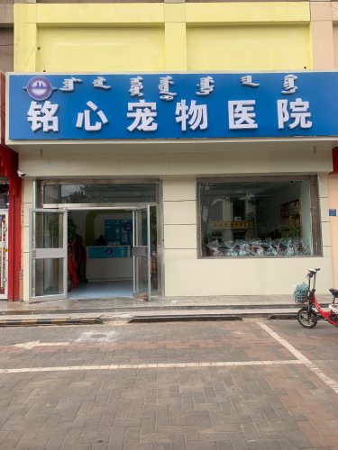 铭心宠物医院