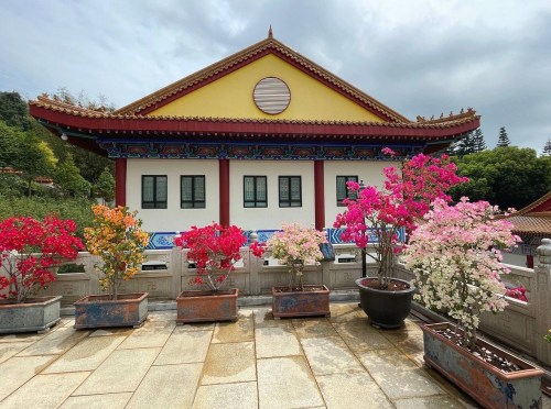 Gallery 1
