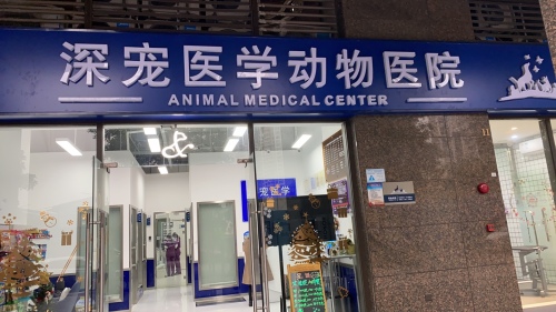 深宠医学动物医院