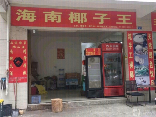 海南椰子王