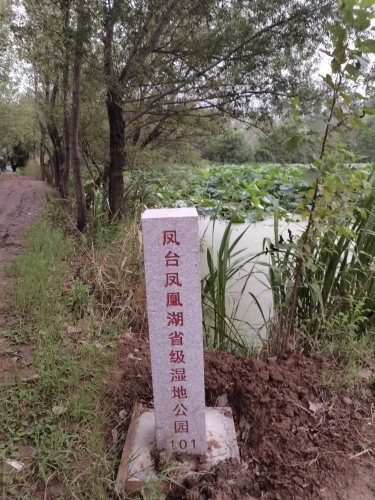 凤台凤凰湖省级湿地公园