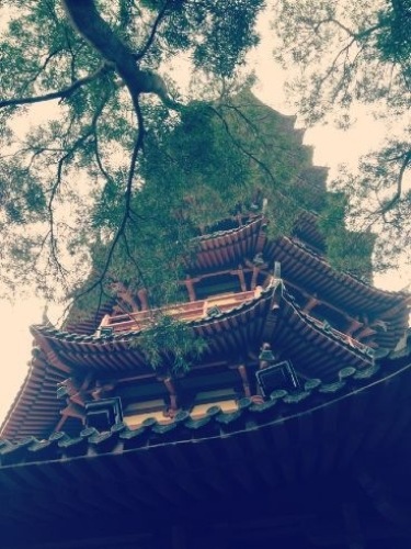 外景图