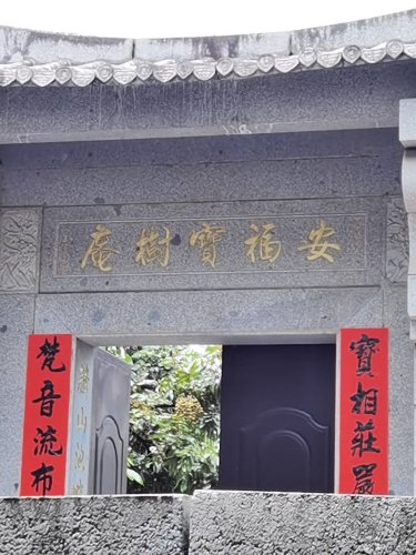 安福宝树庵