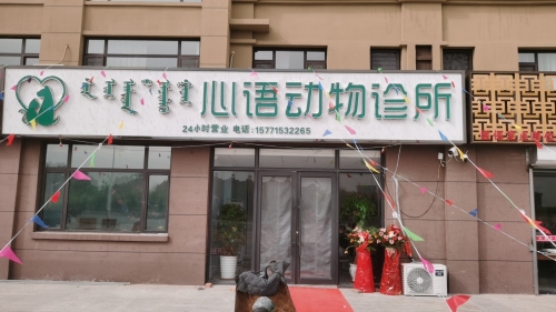 心语动物诊所