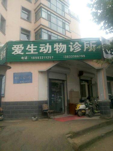 爱生心动物诊所