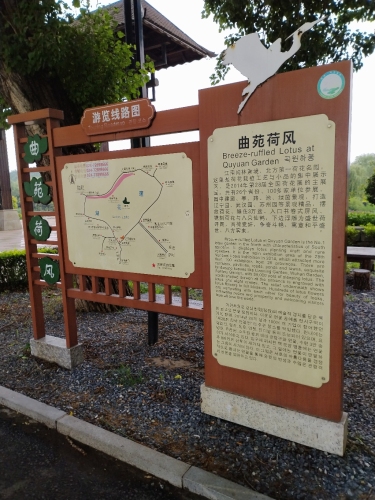 曲苑荷风