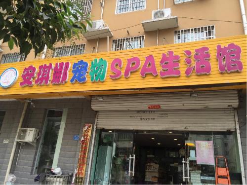 安琪娜动物医院