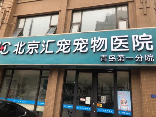 1+1北京汇宠宠物医院青岛第一分院