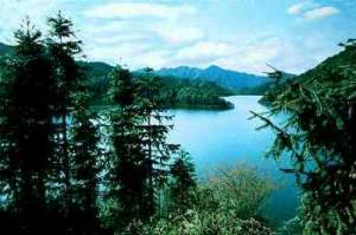 红龙湖森林公园