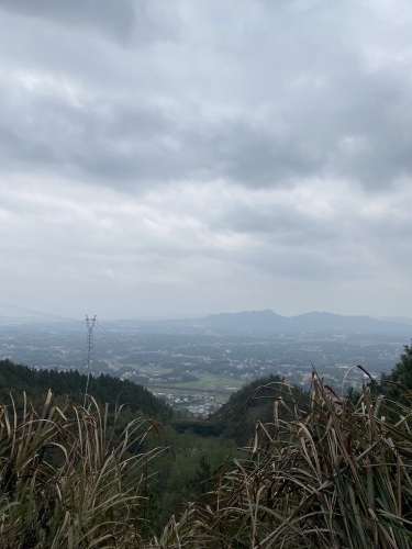 神鼎山森林公园