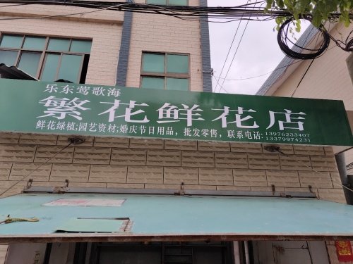 乐东莺歌海繁花鲜花店