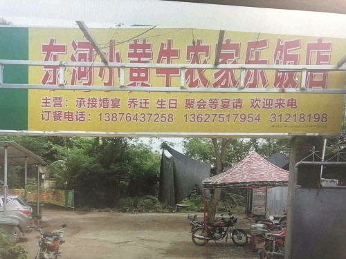 东河小黄牛农家乐饭店