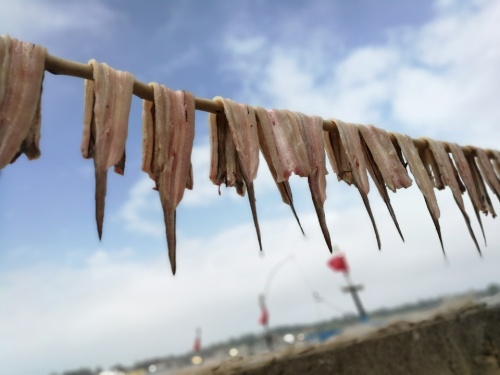 泊爱渔家海鲜餐厅