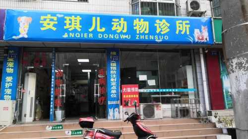 安琪儿动物诊所