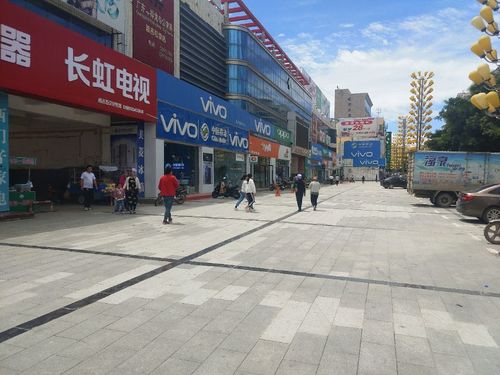 vivo客户服务中心(西街中路店)