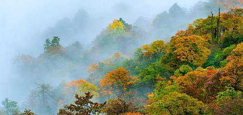 瓦屋山风景区