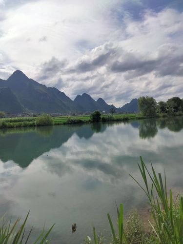 海菜花观赏基地