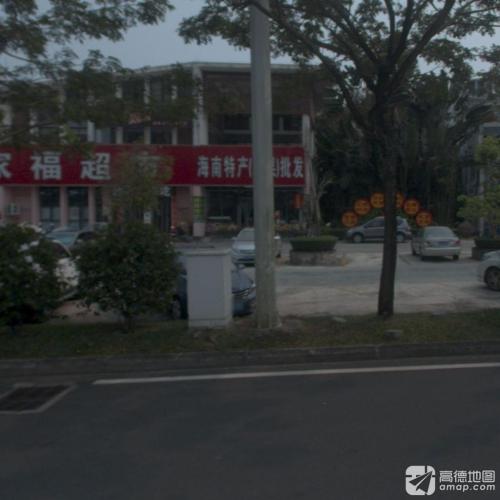 海南特产水果批发