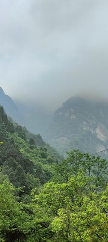 河南灵宝竹林寺