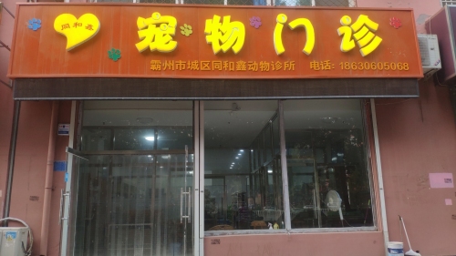 霸州市城区同和鑫宠物门诊