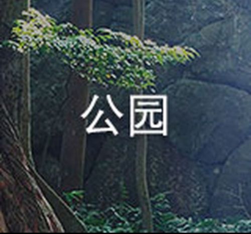 茶愫公园