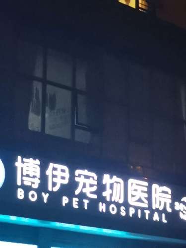 博伊宠物医院