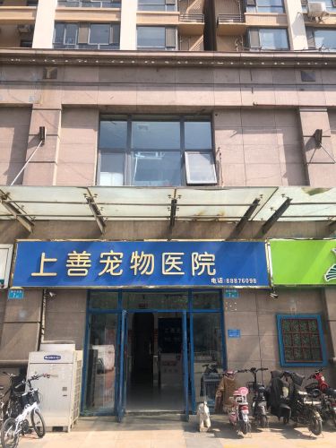 上善宠物医院