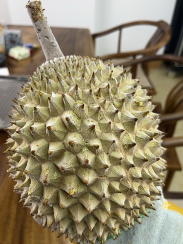 榴莲同志(远盛·七彩阳光店)