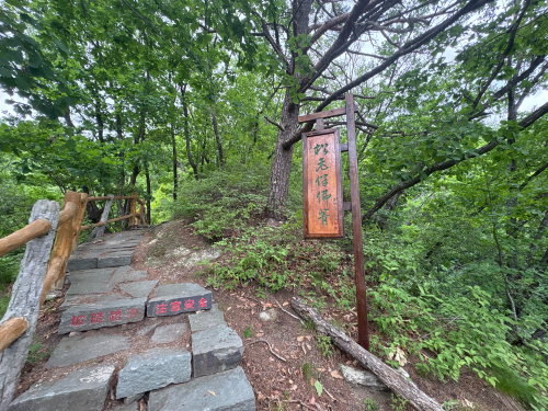 松老伴佛箐