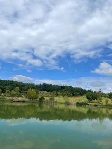 金海湖湿地公园