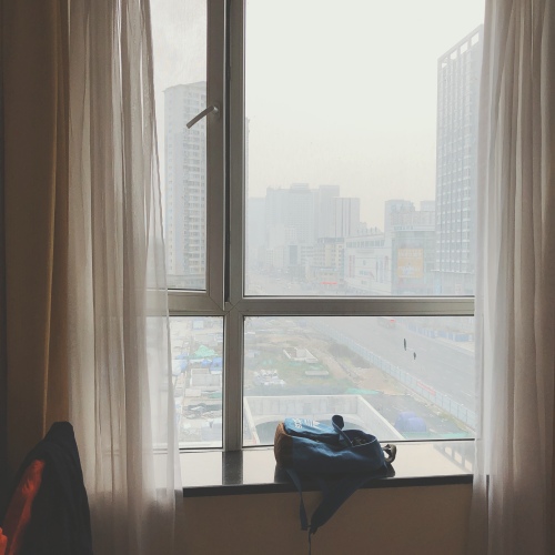 标准双床房