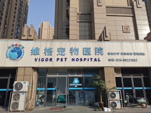 维格宠物医院
