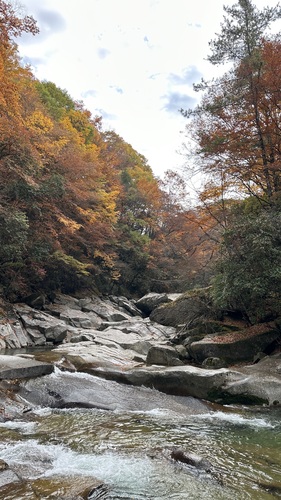 黑熊沟