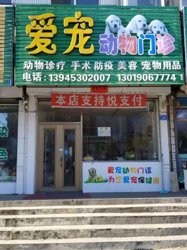 爱宠动物门诊