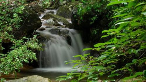 白鹭岛自然保护区
