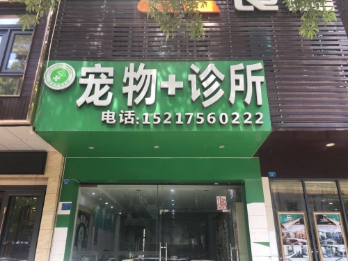宠物+诊所