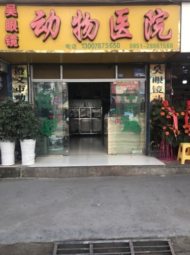 吴眼镜动物医院