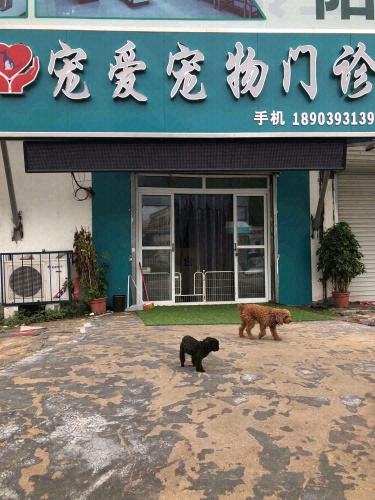 宠爱宠物门诊