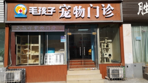毛孩子宠物门诊