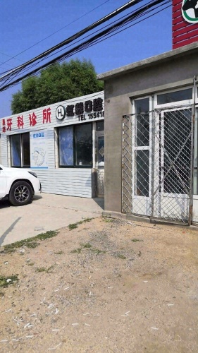 康诺动物诊所