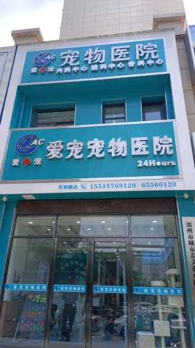 爱宠宠物医院