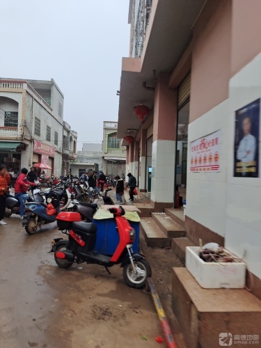 琳桂菲商行