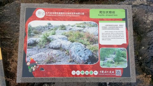 爬虫状熔岩