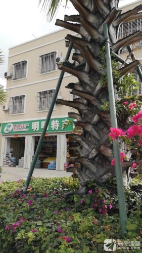 明明特产超市(美丽时光旅租北)